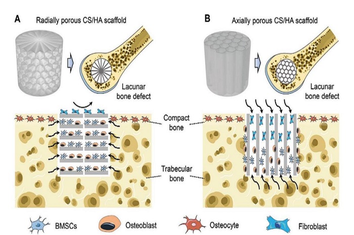 澳门六合彩开奖网站