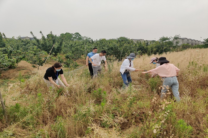 澳门六合彩开奖网站