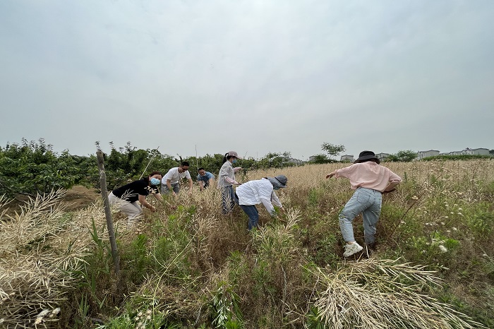 澳门六合彩开奖网站